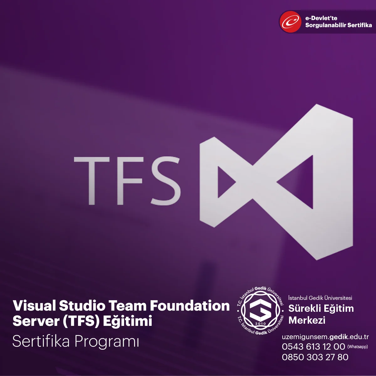 Visual Studio Team Foundation Server (TFS) Eğitimi 